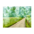 thumbnail image 1 of James McLoughlin 'Country Road Photo II' Canvas Art, 1 of 1