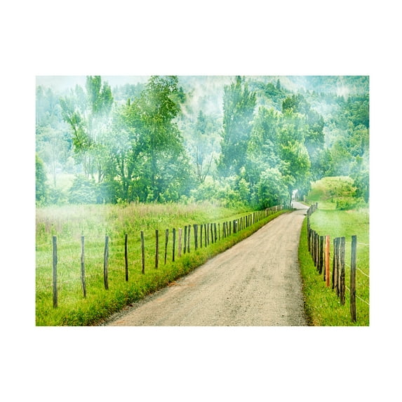 James McLoughlin 'Country Road Photo II' Canvas Art