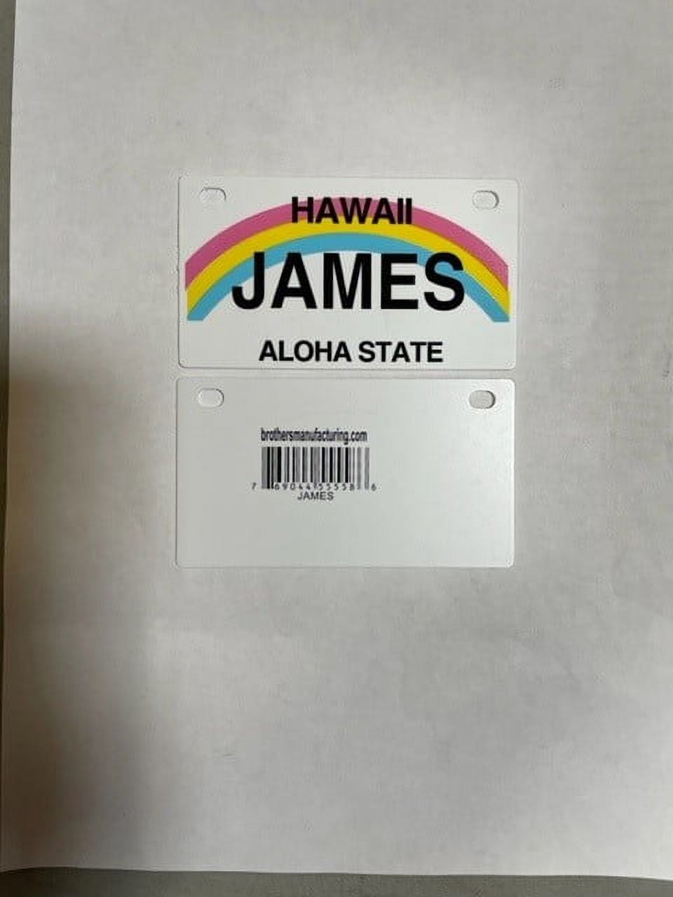 James-Mini-Bike-Plate-Add-On-