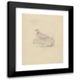 thumbnail image 1 of James Sowerby 12x14 Black Modern Framed Museum Art Print Titled - A Quail, 1 of 5