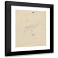 thumbnail image 1 of James Sowerby 12x14 Black Modern Framed Museum Art Print Titled - A Wren, 1 of 5