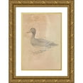 thumbnail image 1 of James Sowerby 14x18 Gold Ornate Wood Frame and Double Matted Museum Art Print Titled - Ferruginous Duck, 1 of 4
