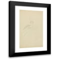thumbnail image 1 of James Sowerby 16x24 Black Modern Framed Museum Art Print Titled - Eurasian Blue Tit, 1 of 5