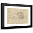 thumbnail image 1 of James Sowerby 18x15 Black Modern Framed Museum Art Print Titled - A Lion, 1 of 5