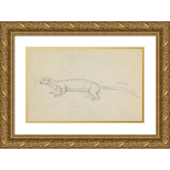 James Sowerby 24x16 Gold Ornate Framed and Double Matted Museum Art Print Titled - A Weasel.