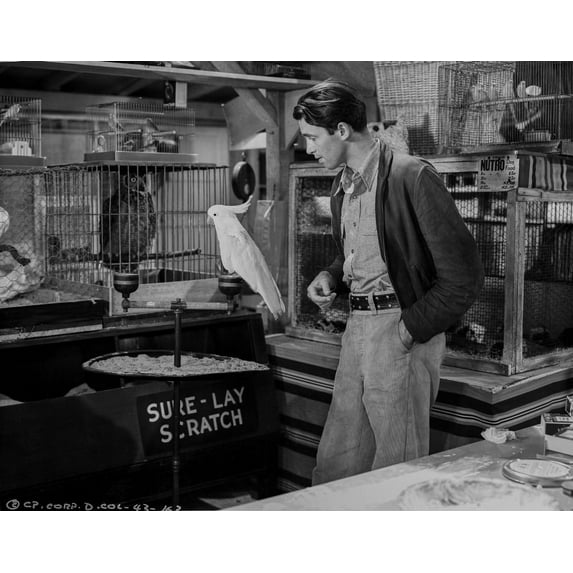 James Stewart posed with Bird Classic Portrait Photo Print (24 x 30)