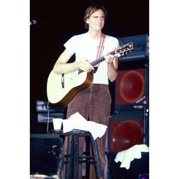 James Taylor Performing On Stage In Concert 24X36 Poster