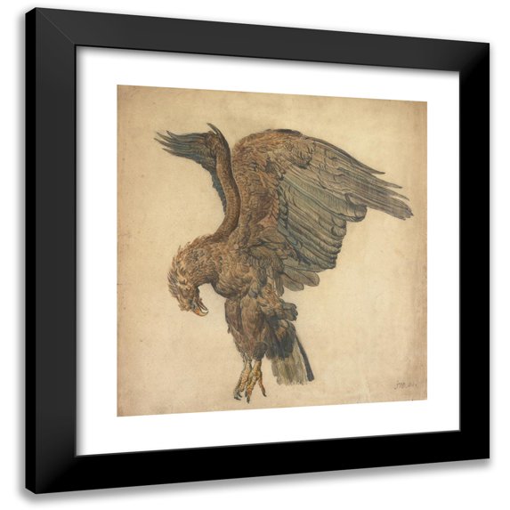 James Ward 15x16 Black Modern Framed Museum Art Print Titled - Study of a Plunging Eagle