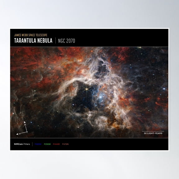 James Webb Space Telescope Tarantula Nebula (Nircam Compass Image) Poster Wall Art, Modern Wall Decor, 8x12 UNFRAMED