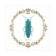 thumbnail image 1 of James Wiens 'Adorning Coleoptera VIII Sq' Canvas Art, 1 of 4