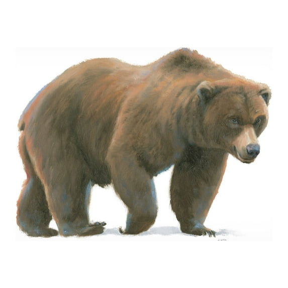 James Wiens 'Northern Wild I' Canvas Art