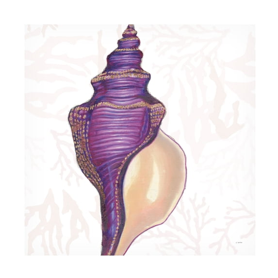 James Wiens 'Shimmering Shells IX' Canvas Art