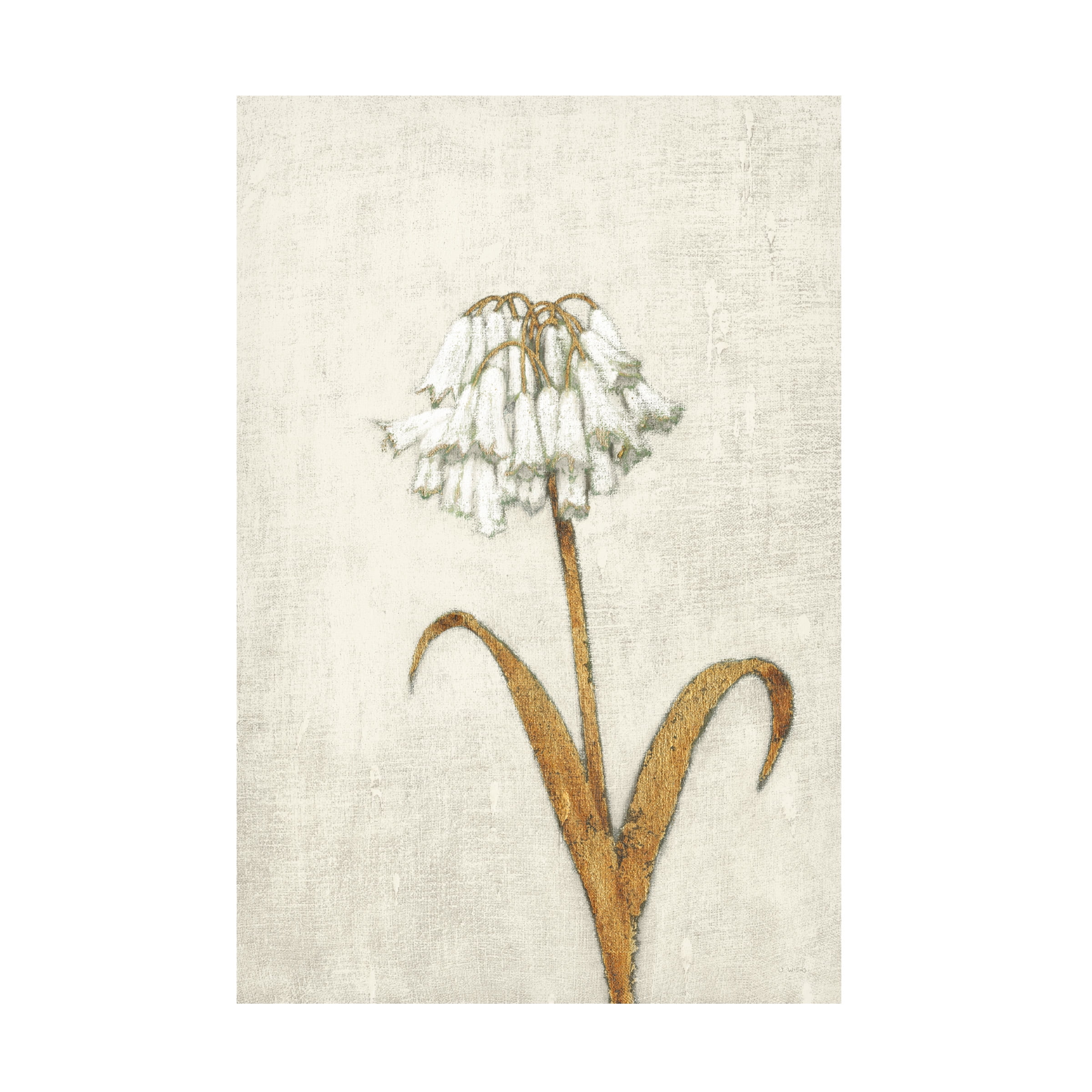 James Wiens 'Shimmering Summer II Ivory' Canvas Art