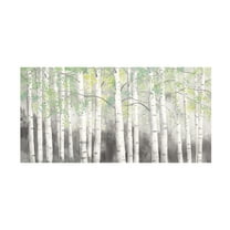 James Wiens 'Soft Birches Charcoal' Canvas Art
