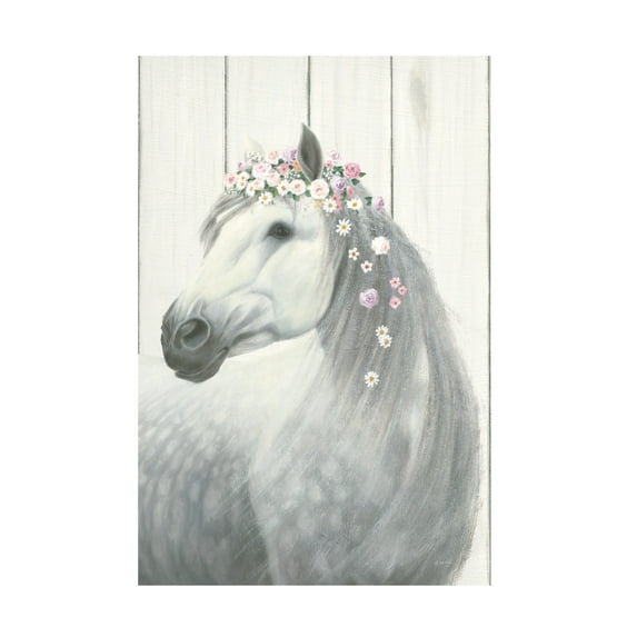 James Wiens 'Spirit Stallion II on Wood no Lace' Canvas Art