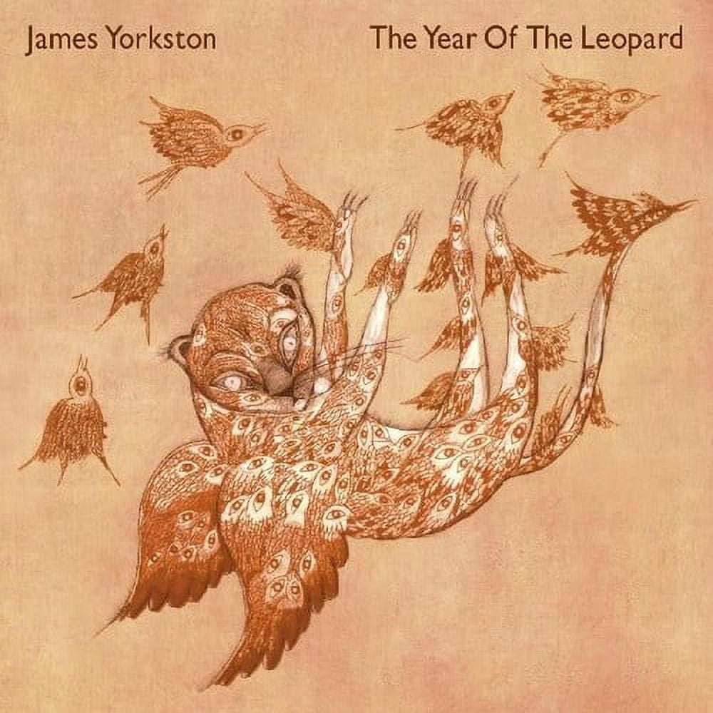 James Yorkston - The Year Of The Leopard - Music & Performance - Vinyl