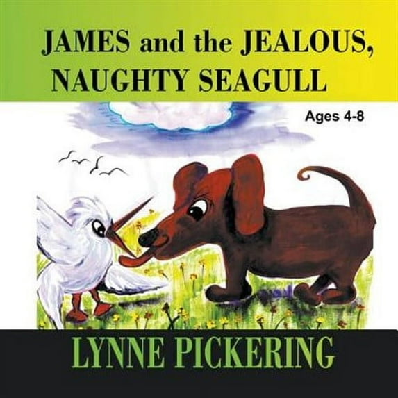 James and the Jealous, Naughty Seagull (Paperback)