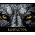 thumbnail image 1 of Jamfactor, 1 of 1