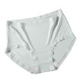 thumbnail image 1 of Jamicy Women's Underwear Seamless Full Coverage Cotton Briefs No Show Invisible Stretch Hipster Ladies Panties, 1 of 2