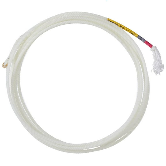 Jamie Hooey OG HL 37 Team Rope  MS