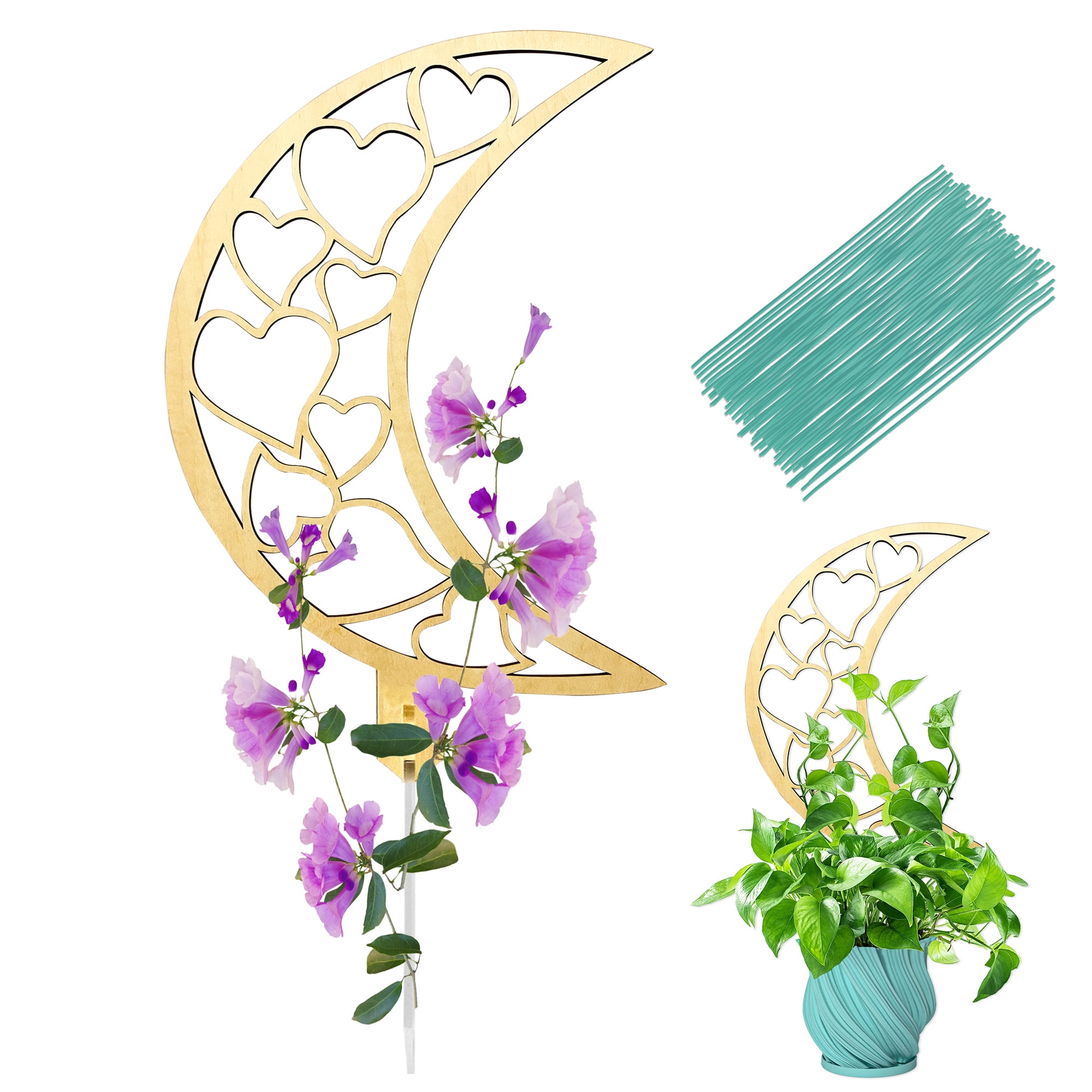 Jamjam Plant Trellises 23'' Wooden Moon Indoor Trellis,Hoya Small