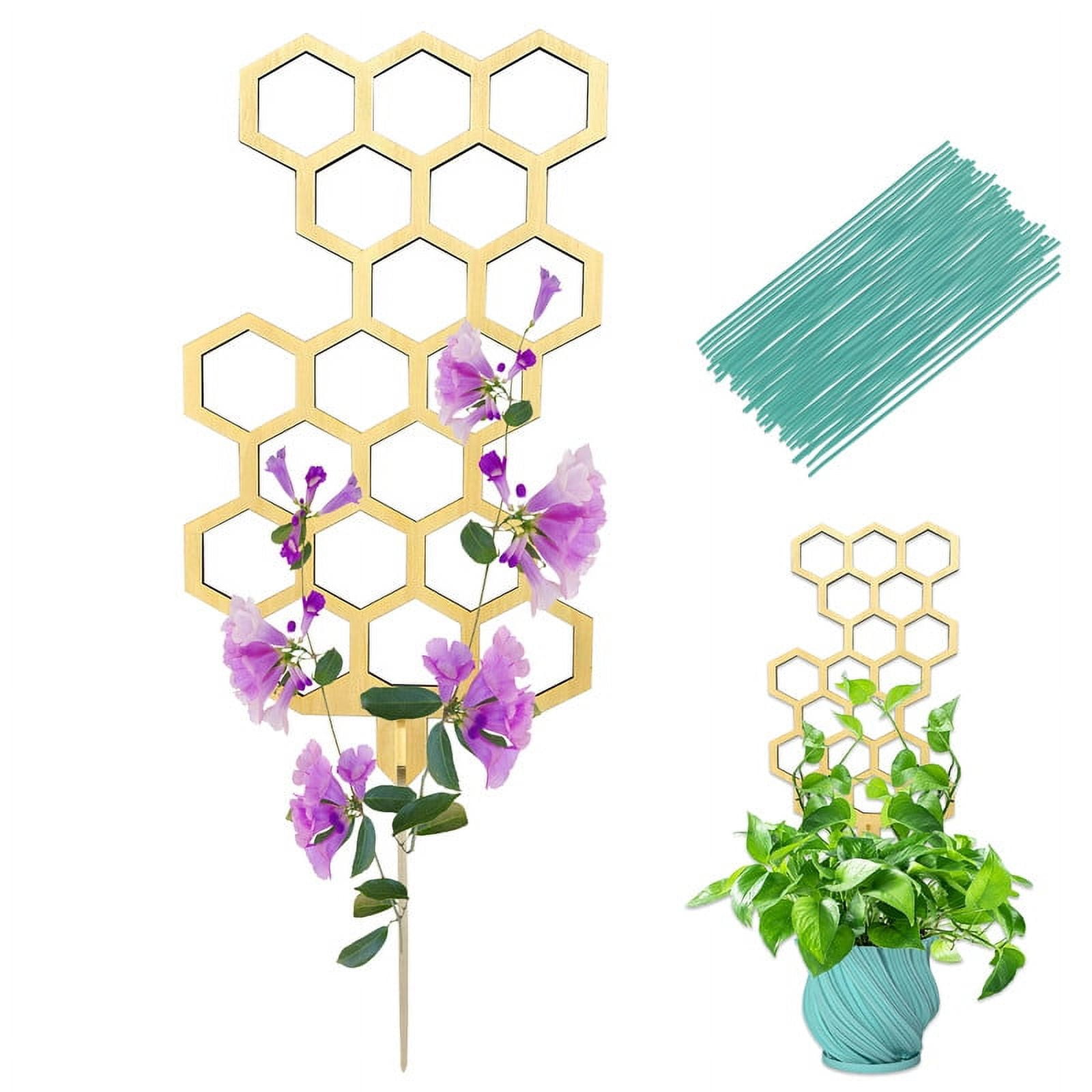 Jamjam Plant trellises 23'' Wooden Plant Trellis Indoor,Hoya Small Trellis for Potted
