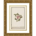 thumbnail image 1 of Jan Anton Garemyn 11x14 Gold Ornate Wood Frame and Double Matted Museum Art Print Titled - Hibiscus (Hibiscus Syriacus) (1790 - 1799), 1 of 4
