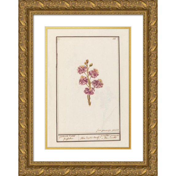 Jan Anton Garemyn 14x18 Gold Ornate Wood Frame and Double Matted Museum Art Print Titled - Muurbloem (Erysimum Cheiri) (1790 - 1799)
