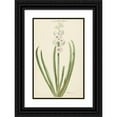 thumbnail image 1 of Jan Augustini 11x14 Black Ornate Wood Framed Double Matted Museum Art Print Titled: The Rozewitte Hyaclight Flowers (1735 - 1773), 1 of 5