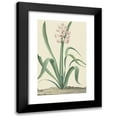 thumbnail image 1 of Jan Augustini 16x24 Black Modern Framed Museum Art Print Titled - The Roze Blue King of Rivers (1762), 1 of 5