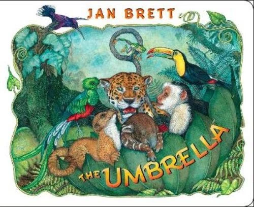 PET KARE Jan Brett The Umbrella (Board Book)