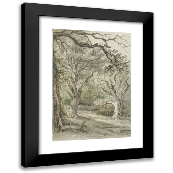 Jan Hulswit 11x14 Black Modern Framed Museum Art Print Titled - Forest Face (1776 - 1822)