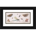 thumbnail image 1 of Jan Van Kessel The Elder 18x10 Black Ornate Wood Framed Double Matted Museum Art Print Titled - Insects, Butterflies, and a Dragonfly (17th Century), 1 of 5