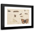 thumbnail image 1 of Jan Van Kessel The Elder 18x14 Black Modern Framed Museum Art Print Titled - Sheet of Studies of Nine Insects (C. 1653 - C. 1661), 1 of 5