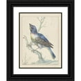 thumbnail image 1 of Jan Weenix 15x18 Black Ornate Wood Framed Double Matted Museum Art Print Titled - Lazuli Bunting (C. 1670 - C. 1719), 1 of 5
