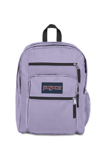 celine mini backpack folco in triomphe canvas and calfskin TAN GHW The Backpack Everyone Should Triomphe Canvas Power:Medium EBAY