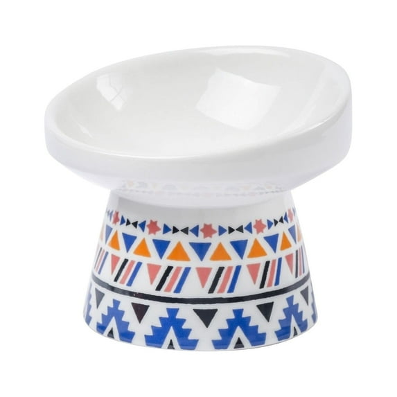 JanYoo Cat Elevated Feeding Bowl Water No Spill ceramic Tilted Raised High Feeder Proof Mess Slip Anti Vomiting Porcelain