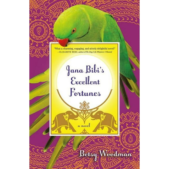 Jana Bibi Adventures Jana Bibi's Excellent Fortunes, Book 1, (Paperback)