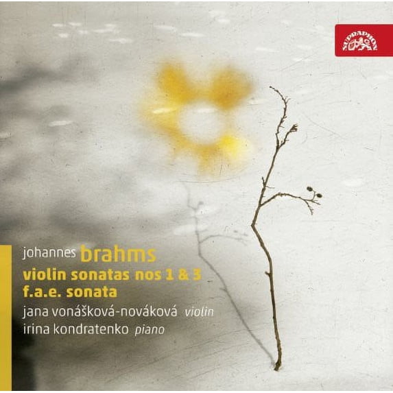 Jana Nov Kov - Violin Sonatas - Music & Performance - CD