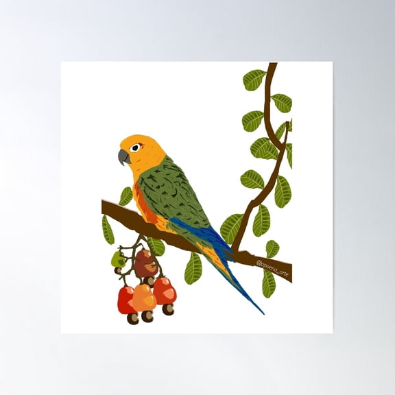 Jandaia-Verdadeira (Aratinga Jandaya) Poster Wall Art, Modern Wall Decor For Living Room Bedroom, 30x30 UNFRAMED