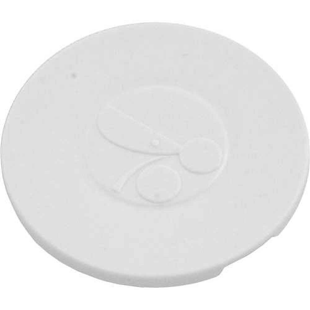 Jandy Zodiac 9-100-1114 Hub Cap for Pool Cleaners - Walmart Business ...