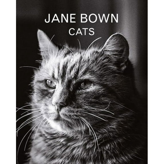Jane Bown: Cats, (Hardcover)