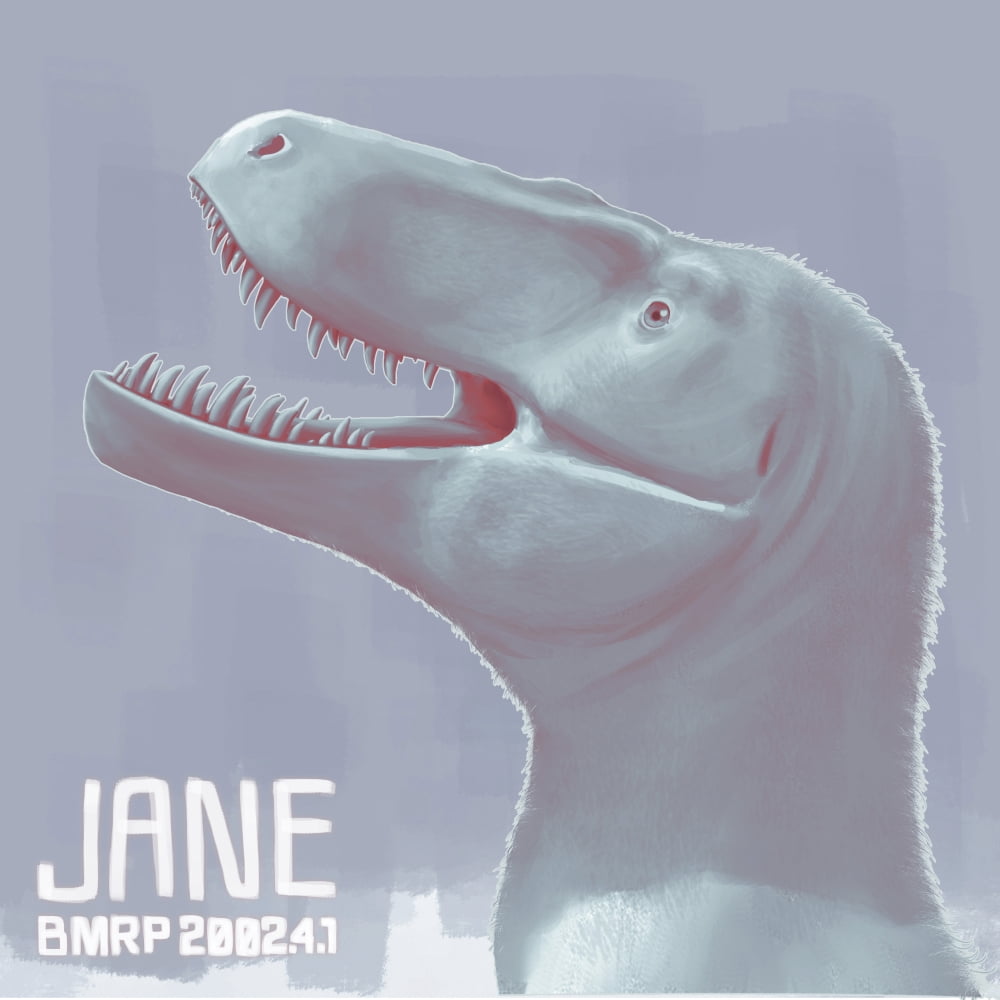 Jane is a fossil specimen of small tyrannosaurid dinosaur Canvas Art - Christian MasnaghettiStocktrek Images (29 x 29)