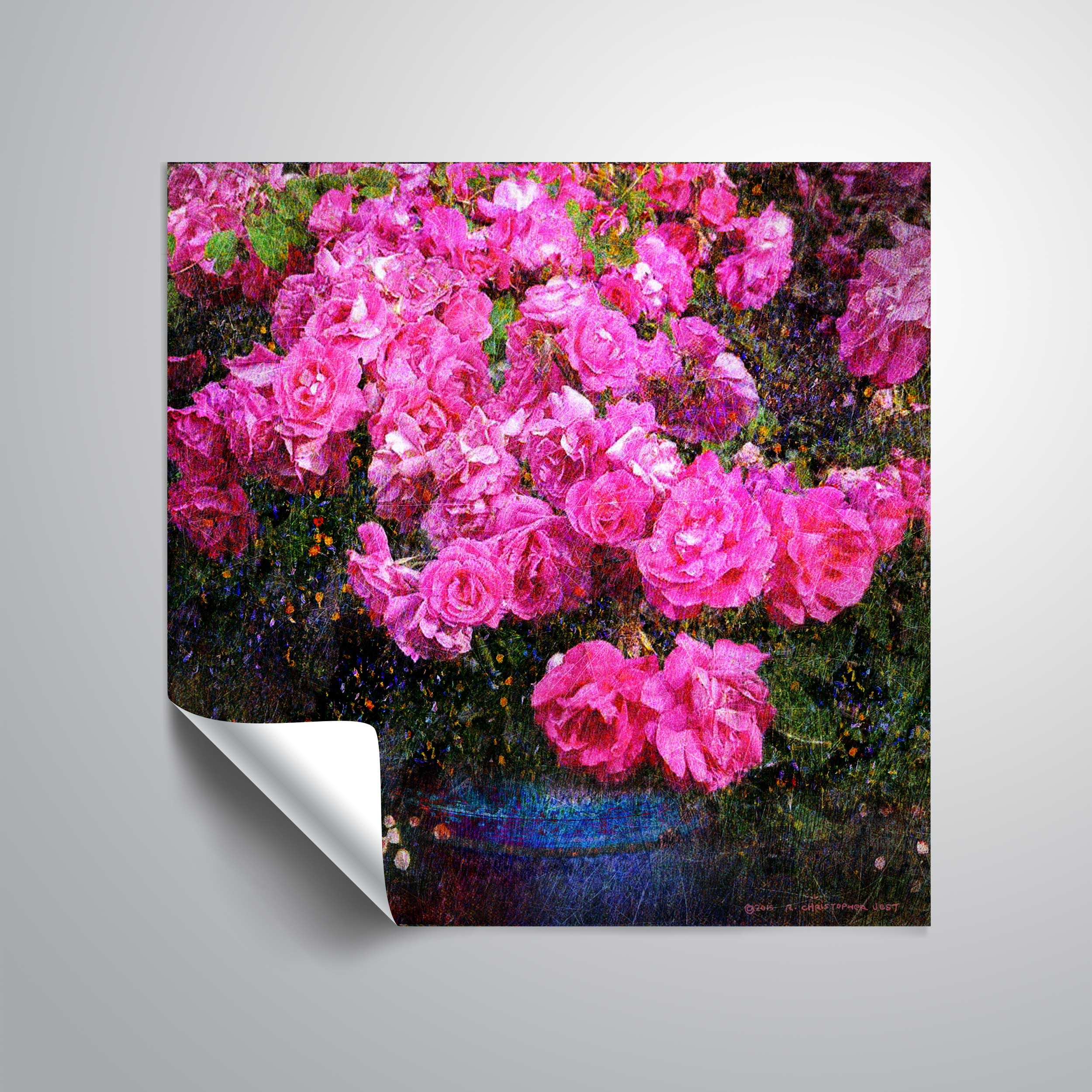 Jane's Roses