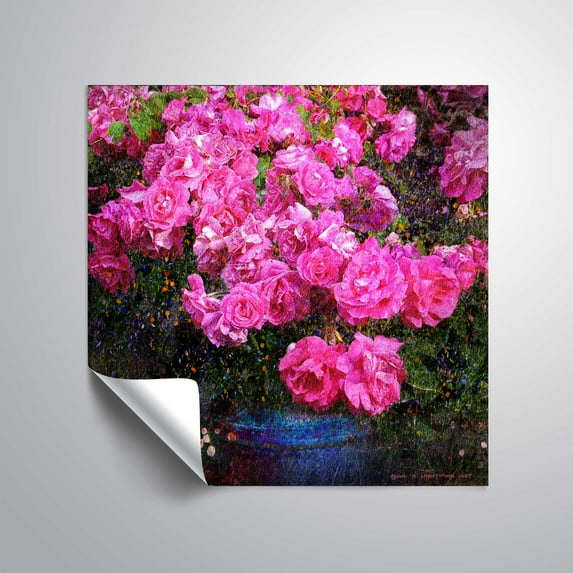 Jane's Roses