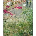 thumbnail image 1 of Janelle Lynch: Another Way of Looking at Love, (Hardcover), 1 of 1