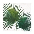 thumbnail image 1 of Janelle Penner 'Welcome to Paradise XII' Canvas Art, 1 of 3