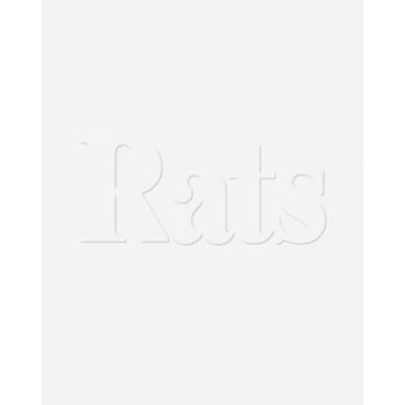 Pre-Owned Janiva Ellis: Rats (Paperback) by Janiva Ellis, Alex Gartenfeld, Stephanie Seidel