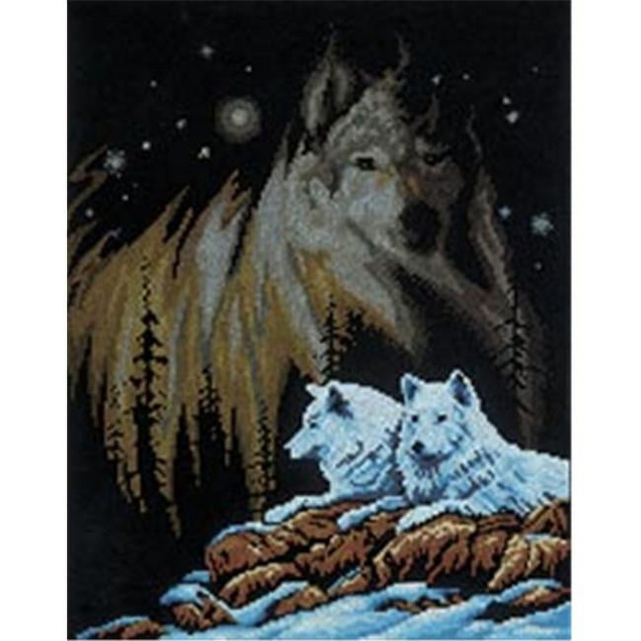 Janlynn Counted Cross Stitch Kit 11"X14"-Northern Lights (14 Count)