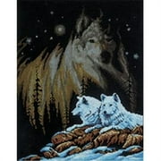 Janlynn Northern Lights Counted Cross Stitch Kit, 11" x 14", 14 Count